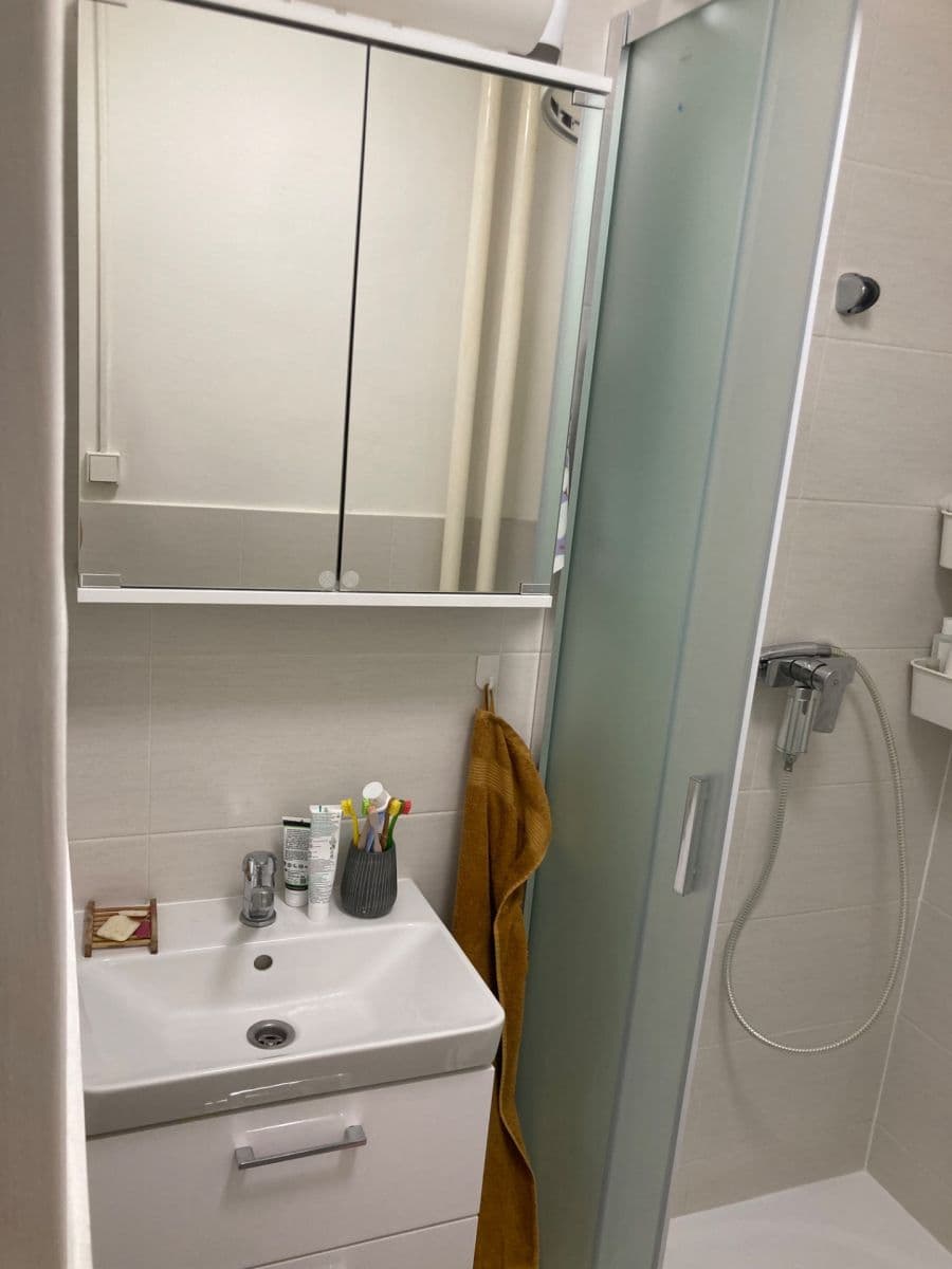 Pronájem bytu 3+1 19 m², Hostýnská, Praha, Praha Pronájem bytu 3+1 19 m², Hostýnská, Praha, Praha