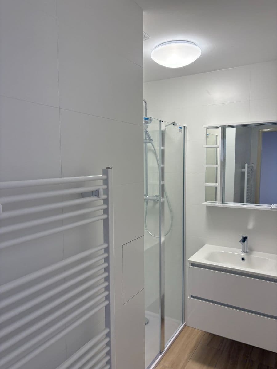 Pronájem bytu 2+1 67 m², Milady Horákové, Praha, Praha Pronájem bytu 2+1 67 m², Milady Horákové, Praha, Praha