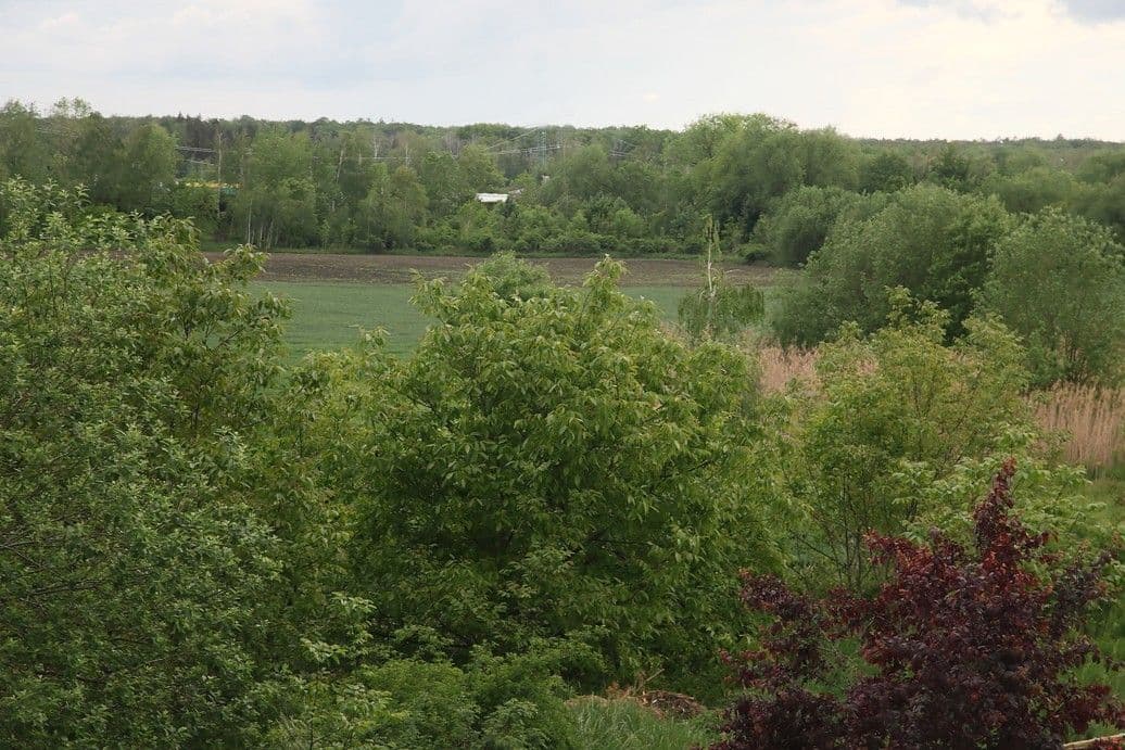 Pronájem bytu 4+1 82 m², Dandova, Praha, Praha Pronájem bytu 4+1 82 m², Dandova, Praha, Praha