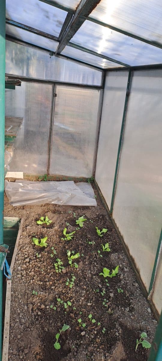 Prodej domu 98 m², pozemek 457 m², Alfonse Muchy, Ivančice, Jihomoravský kraj Prodej domu 98 m², pozemek 457 m², Alfonse Muchy, Ivančice, Jihomoravský kraj