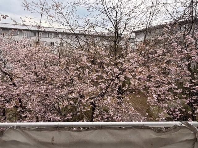 Pronájem bytu 1+kk 42 m², München, Bavorsko Pronájem bytu 1+kk 42 m², München, Bavorsko