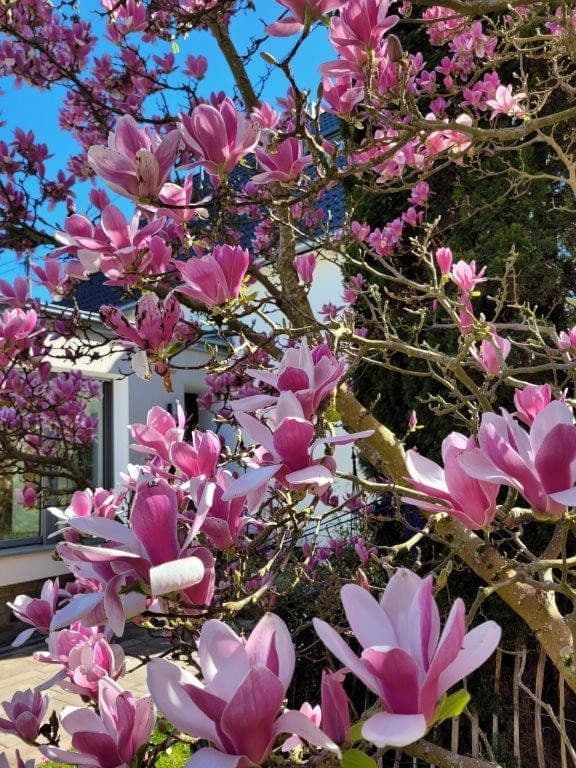 Prodej domu 196 m², pozemek 747 m², Fritz-Henkel-Str. 18, Unkel, Porýní-Falc Prodej domu 196 m², pozemek 747 m², Fritz-Henkel-Str. 18, Unkel, Porýní-Falc