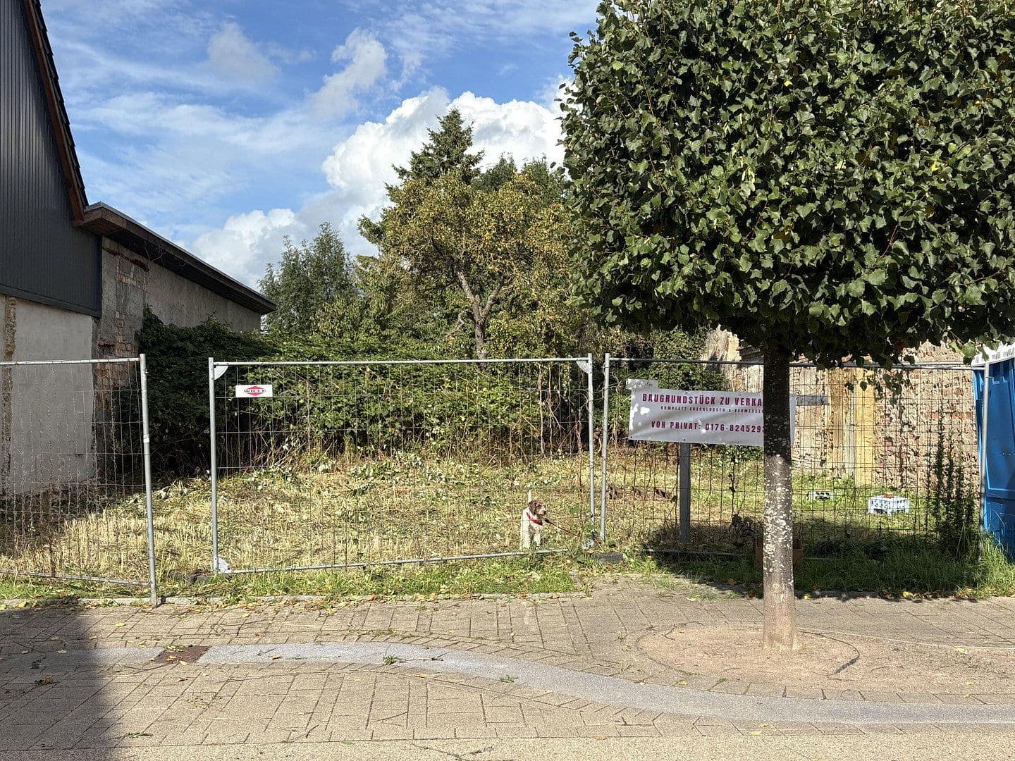 Prodej pozemku 529 m², Wilhelmstrasse 49, Volhošť, Mecklenburg-Vorpommern Prodej pozemku 529 m², Wilhelmstrasse 49, Volhošť, Mecklenburg-Vorpommern