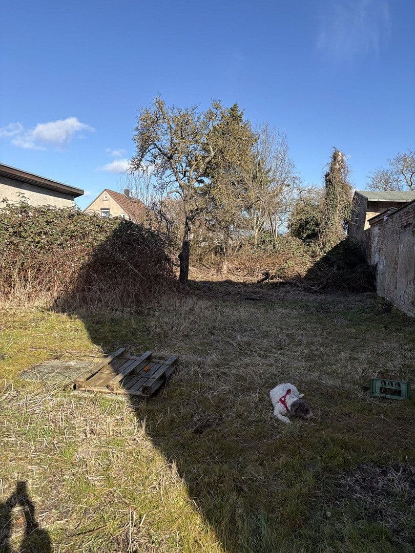 Prodej pozemku 529 m², Wilhelmstrasse 49, Volhošť, Mecklenburg-Vorpommern Prodej pozemku 529 m², Wilhelmstrasse 49, Volhošť, Mecklenburg-Vorpommern