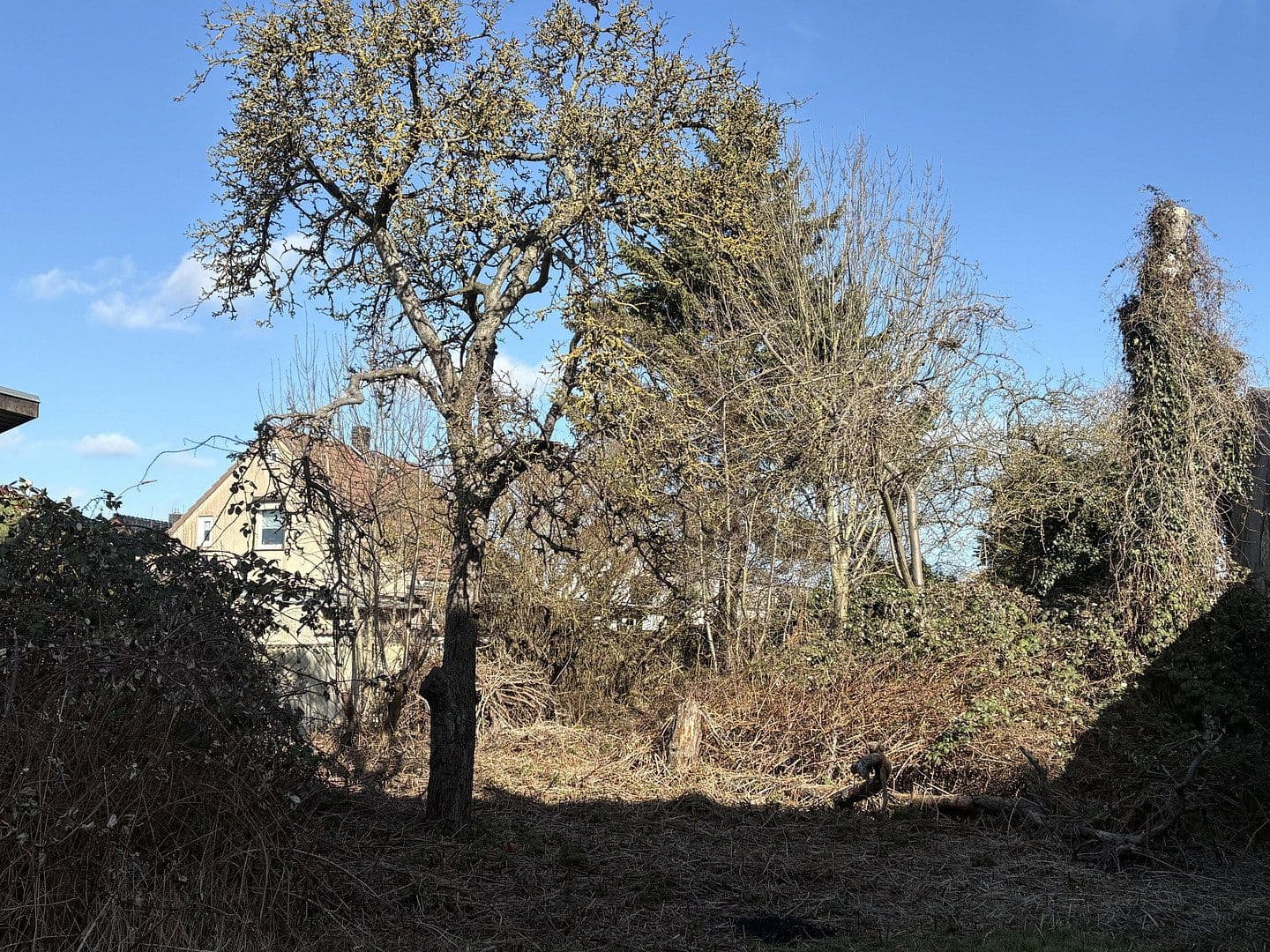 Prodej pozemku 529 m², Wilhelmstrasse 49, Volhošť, Mecklenburg-Vorpommern Prodej pozemku 529 m², Wilhelmstrasse 49, Volhošť, Mecklenburg-Vorpommern