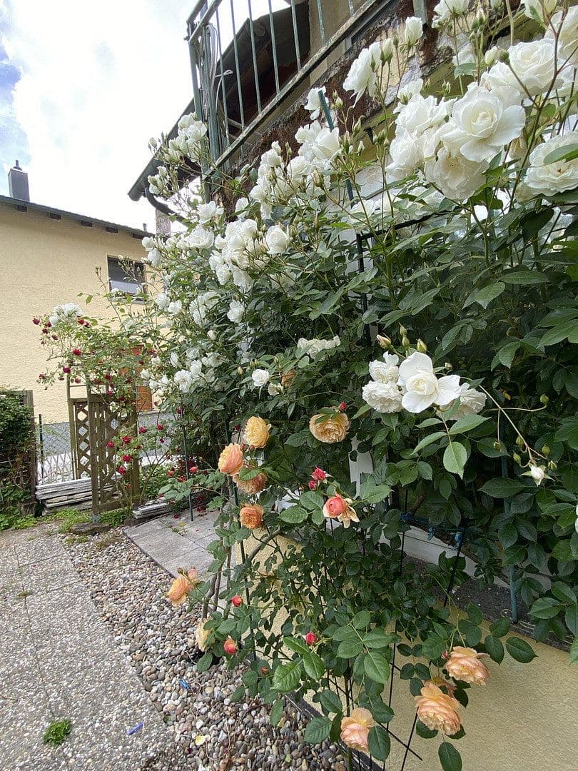 Prodej bytu 3+1 72 m², Emil-Kollmar-Straße 5, Pforzheim, Bádensko-Württembersko Prodej bytu 3+1 72 m², Emil-Kollmar-Straße 5, Pforzheim, Bádensko-Württembersko