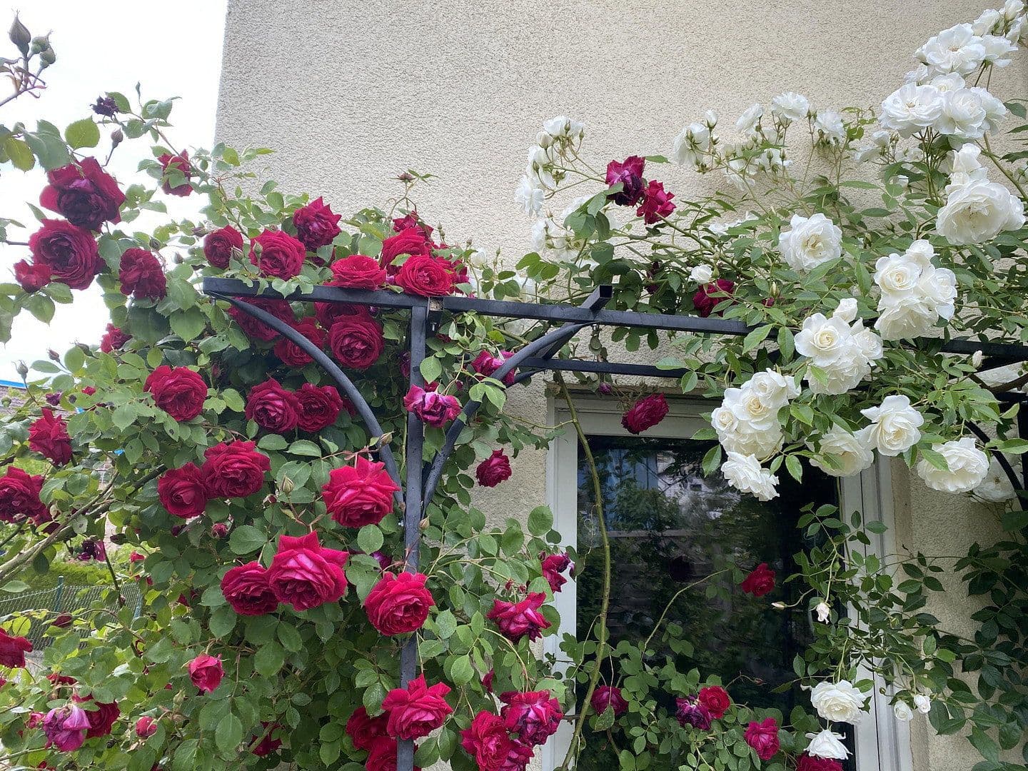 Prodej bytu 3+1 72 m², Emil-Kollmar-Straße 5, Pforzheim, Bádensko-Württembersko Prodej bytu 3+1 72 m², Emil-Kollmar-Straße 5, Pforzheim, Bádensko-Württembersko