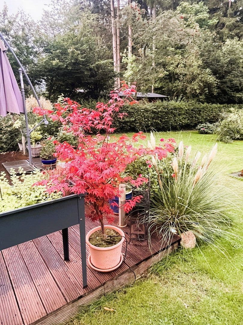 Prodej domu 140 m², pozemek 1.564 m², Hamfelde (Lauenburg), Šlesvicko-Holštýnsko Prodej domu 140 m², pozemek 1.564 m², Hamfelde (Lauenburg), Šlesvicko-Holštýnsko