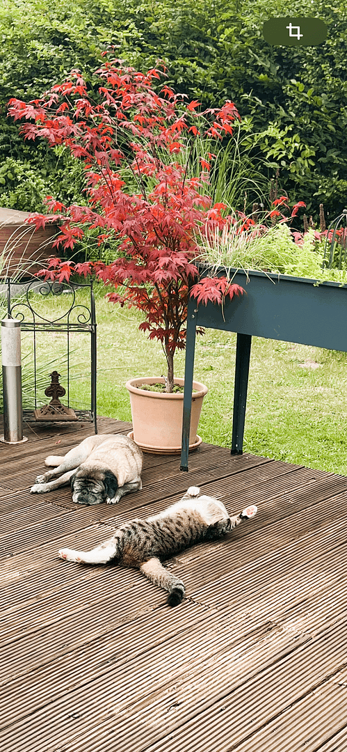 Prodej domu 140 m², pozemek 1.564 m², Hamfelde (Lauenburg), Šlesvicko-Holštýnsko Prodej domu 140 m², pozemek 1.564 m², Hamfelde (Lauenburg), Šlesvicko-Holštýnsko