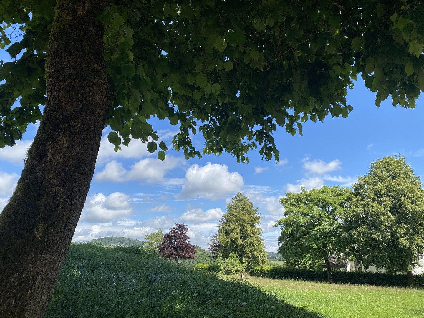 Pronájem bytu 2+1 73 m², Delleweg 21, Winterberg, Severní Porýní-Vestfálsko Pronájem bytu 2+1 73 m², Delleweg 21, Winterberg, Severní Porýní-Vestfálsko