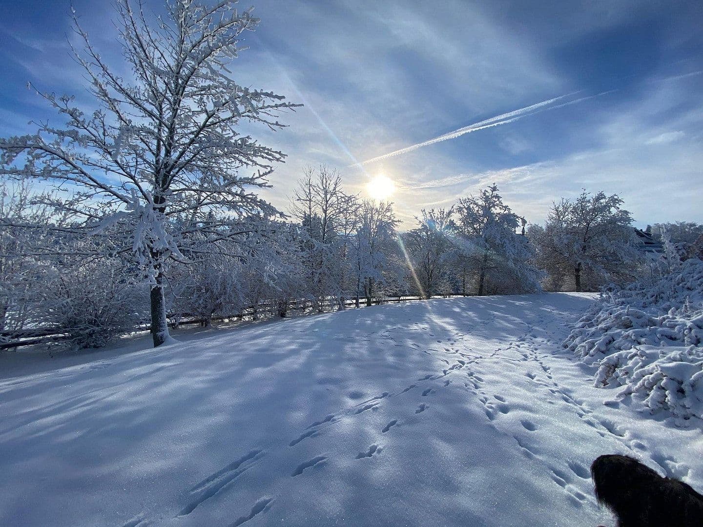 Pronájem bytu 2+1 73 m², Delleweg 21, Winterberg, Severní Porýní-Vestfálsko Pronájem bytu 2+1 73 m², Delleweg 21, Winterberg, Severní Porýní-Vestfálsko