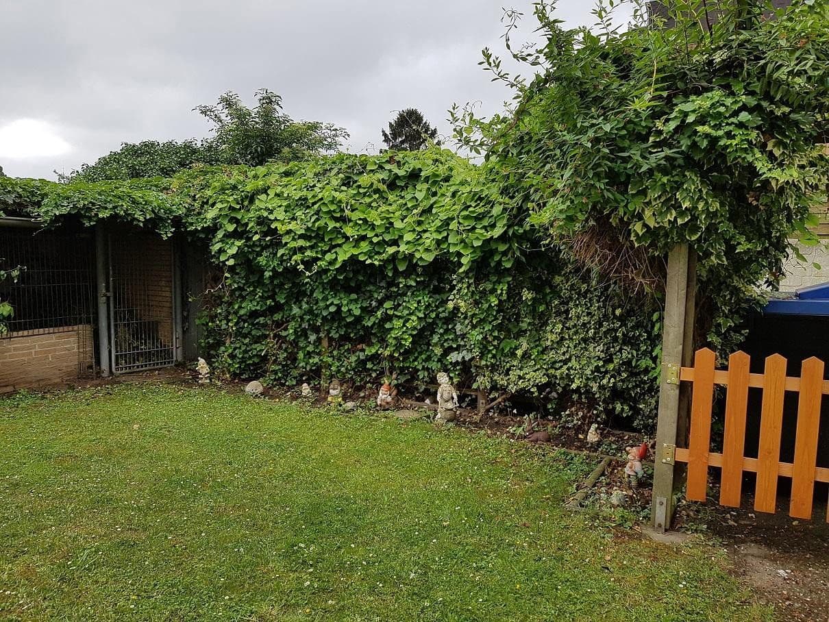 Pronájem bytu 4+1 100 m², Gartsträucherstr.113, Duisburg, Severní Porýní-Vestfálsko Pronájem bytu 4+1 100 m², Gartsträucherstr.113, Duisburg, Severní Porýní-Vestfálsko