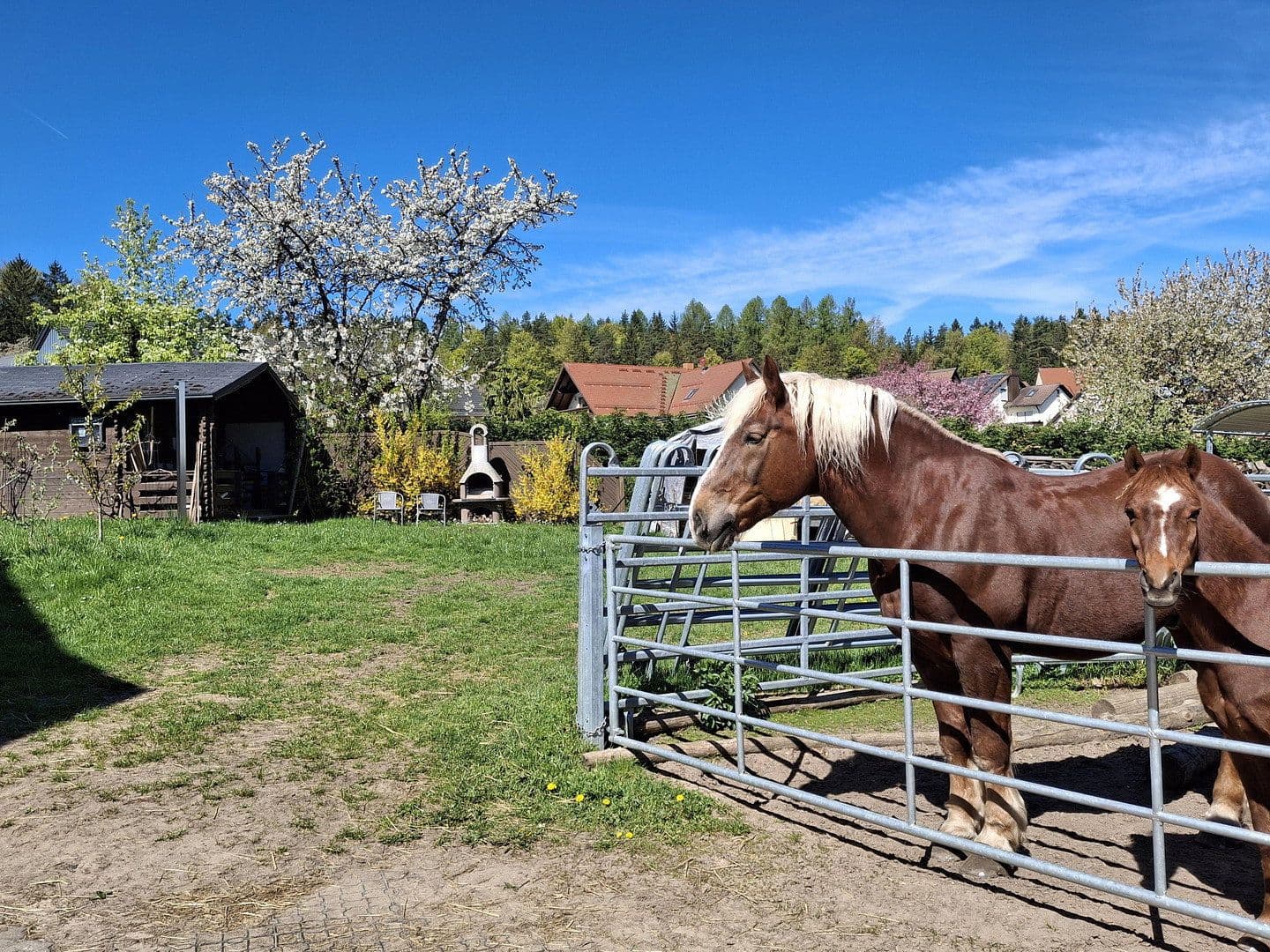 Pronájem bytu 5+1 130 m², Geschwand 76, Obertrubach, Bavorsko Pronájem bytu 5+1 130 m², Geschwand 76, Obertrubach, Bavorsko