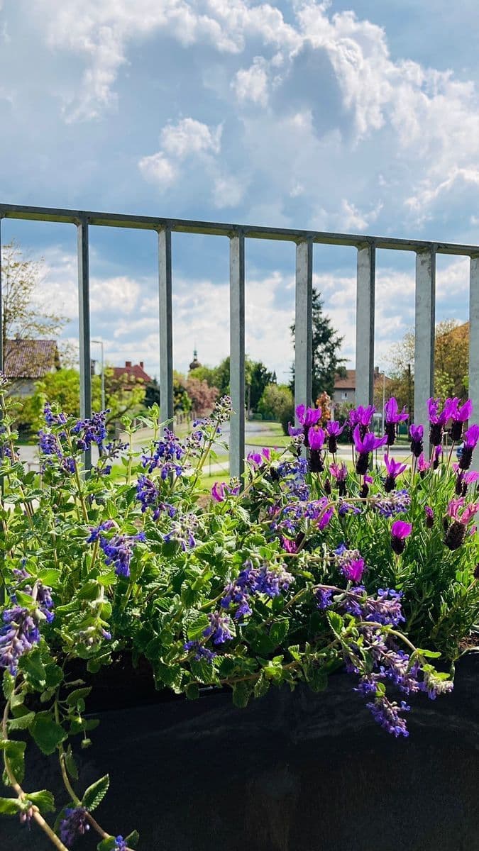 Prodej bytu 2+kk 68 m², U Parketárny, Unhošť, Středočeský kraj Prodej bytu 2+kk 68 m², U Parketárny, Unhošť, Středočeský kraj