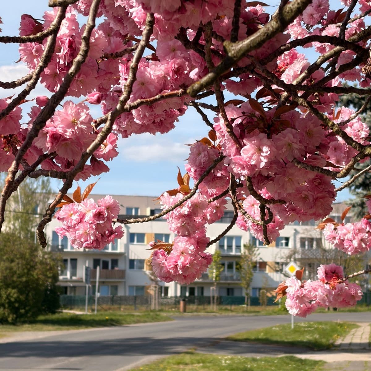 Prodej bytu 2+kk 68 m², U Parketárny, Unhošť, Středočeský kraj Prodej bytu 2+kk 68 m², U Parketárny, Unhošť, Středočeský kraj