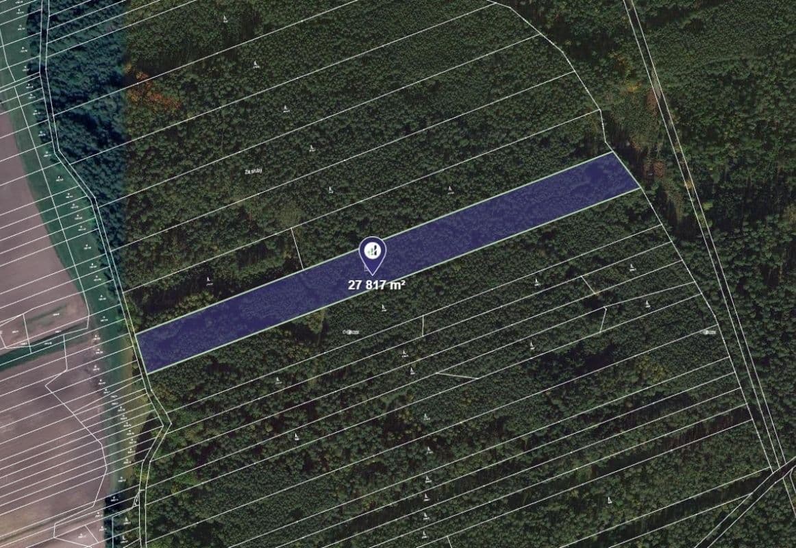 Prodej pozemku 27.817 m², Lužnice, Jihočeský kraj Prodej pozemku 27.817 m², Lužnice, Jihočeský kraj