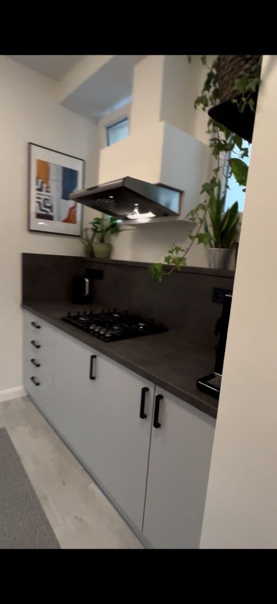 Pronájem bytu 2+1 60 m², Dělnická, Praha, Praha Pronájem bytu 2+1 60 m², Dělnická, Praha, Praha