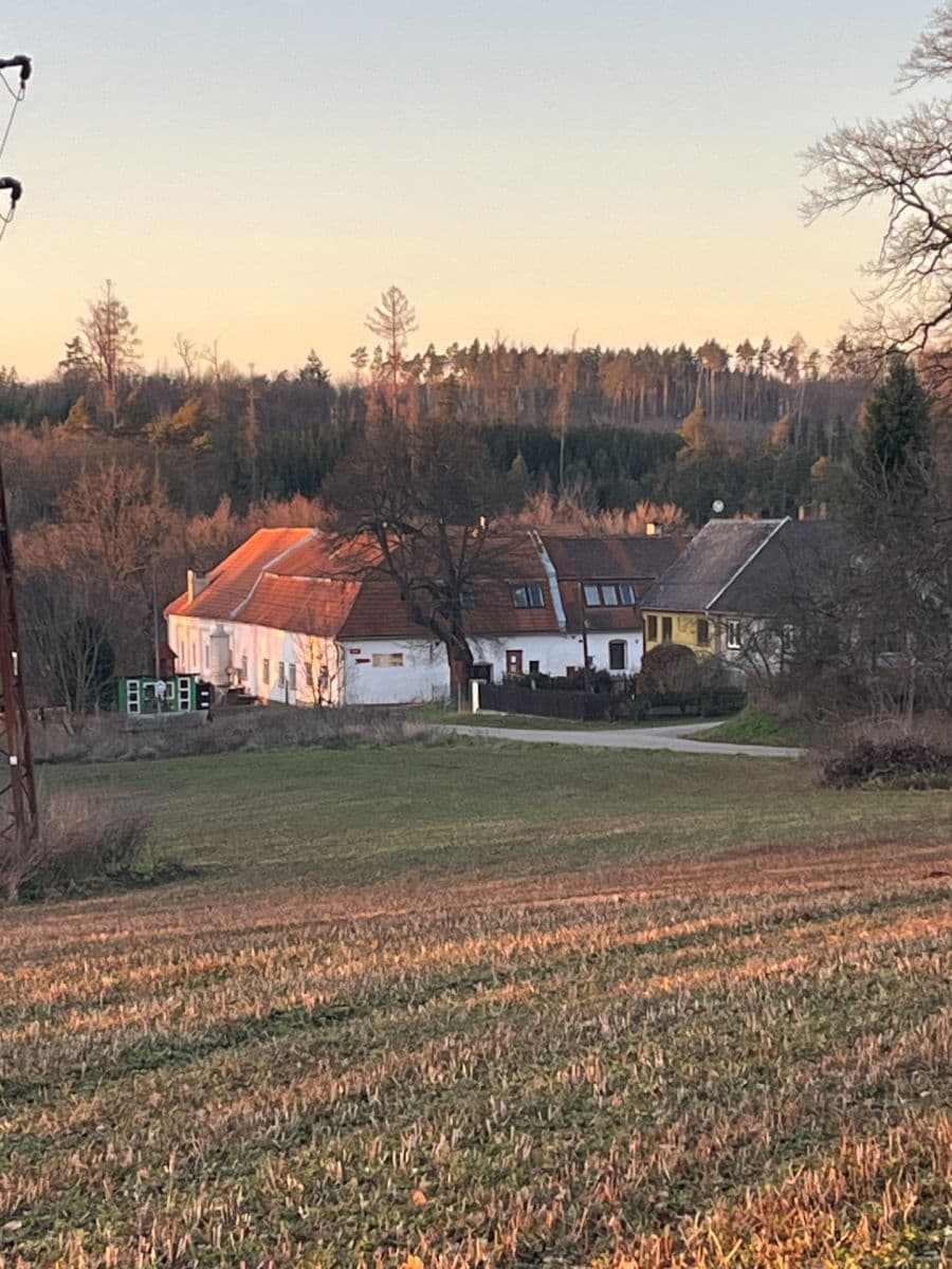 Prodej nebytového prostoru 6.257 m², Čechov, Vlašim, Středočeský kraj Prodej nebytového prostoru 6.257 m², Čechov, Vlašim, Středočeský kraj