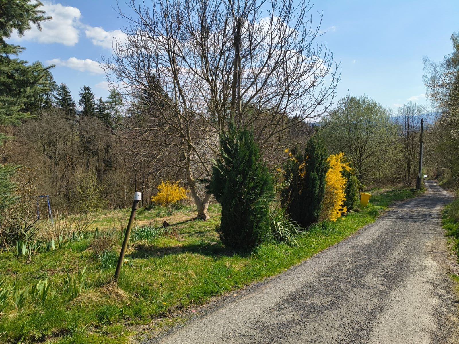 Prodej pozemku 3.722 m², Nová Ves, Liberecký kraj Prodej pozemku 3.722 m², Nová Ves, Liberecký kraj