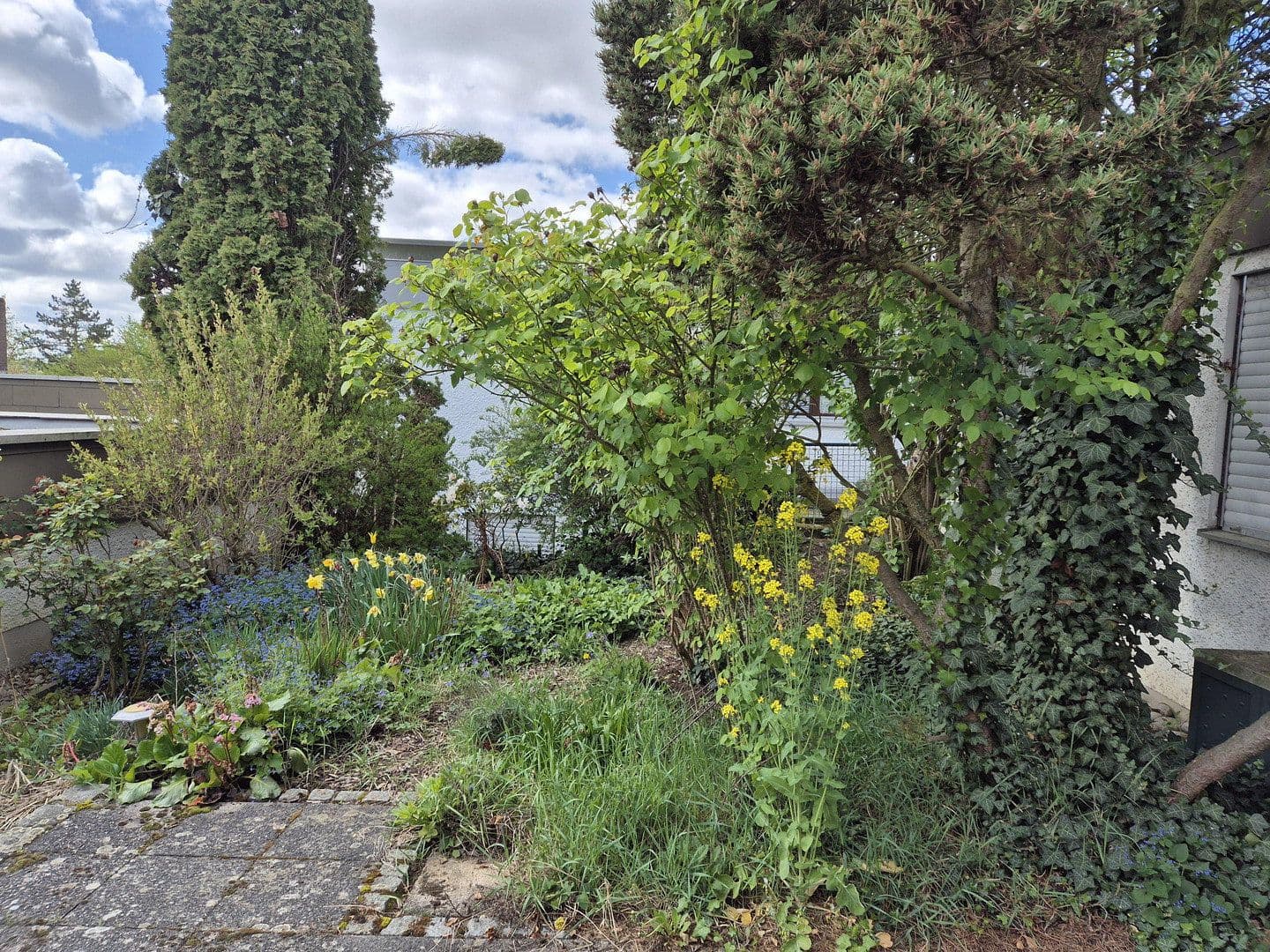 Prodej domu 119 m², pozemek 295 m², Würzburg, Bavorsko Prodej domu 119 m², pozemek 295 m², Würzburg, Bavorsko