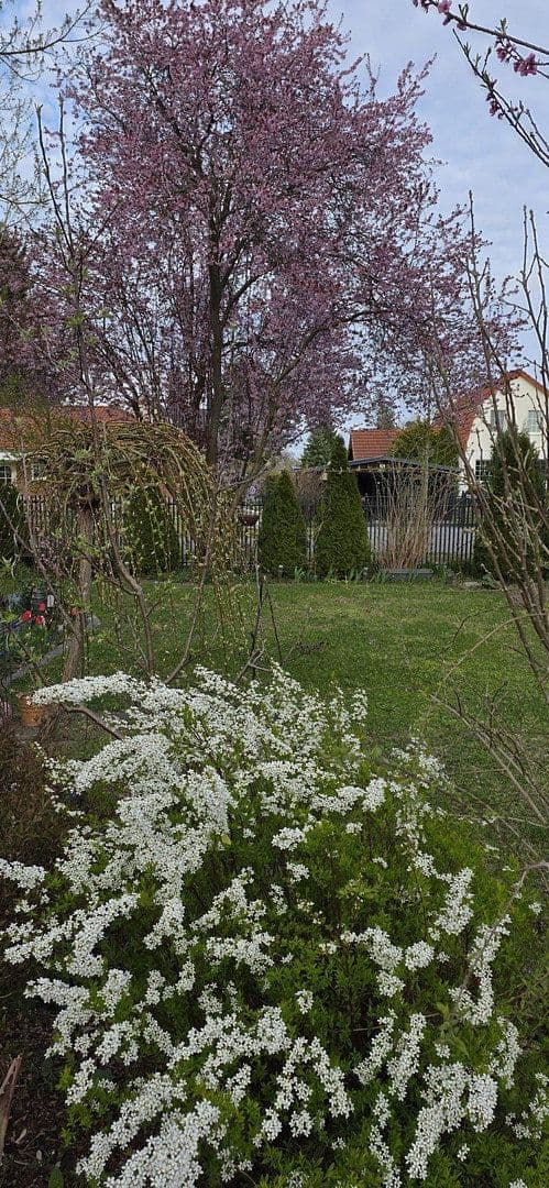 Prodej domu 134 m², pozemek 487 m², Falkensee, Braniborsko Prodej domu 134 m², pozemek 487 m², Falkensee, Braniborsko