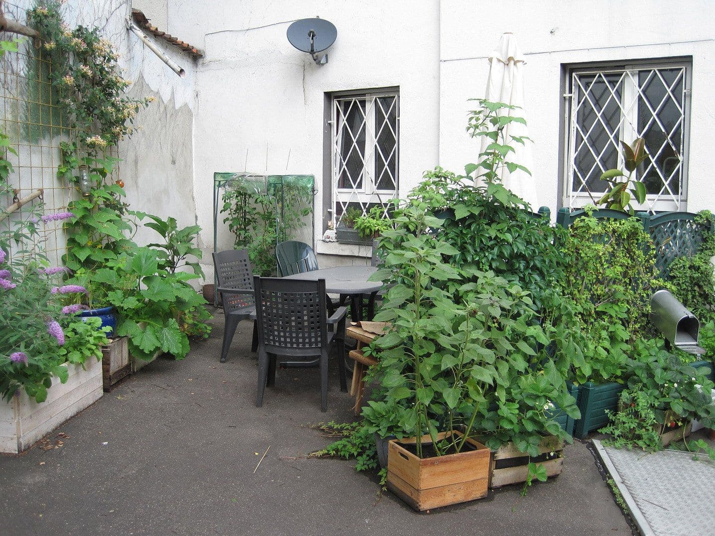 Pronájem bytu 4+1 109 m², Hans-Thoma Str. 5, Karlsruhe, Bádensko-Württembersko Pronájem bytu 4+1 109 m², Hans-Thoma Str. 5, Karlsruhe, Bádensko-Württembersko