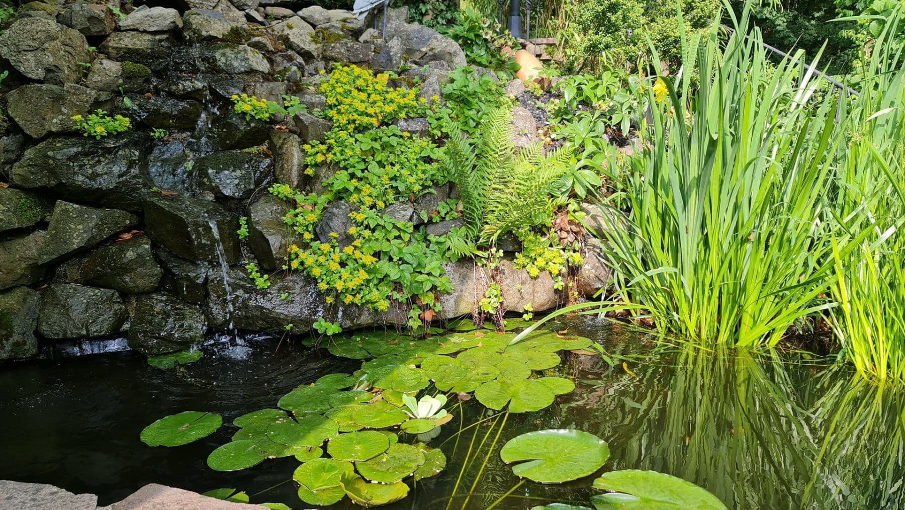 Prodej domu 206 m², pozemek 1.227 m², Westerburg, Porýní-Falc Prodej domu 206 m², pozemek 1.227 m², Westerburg, Porýní-Falc