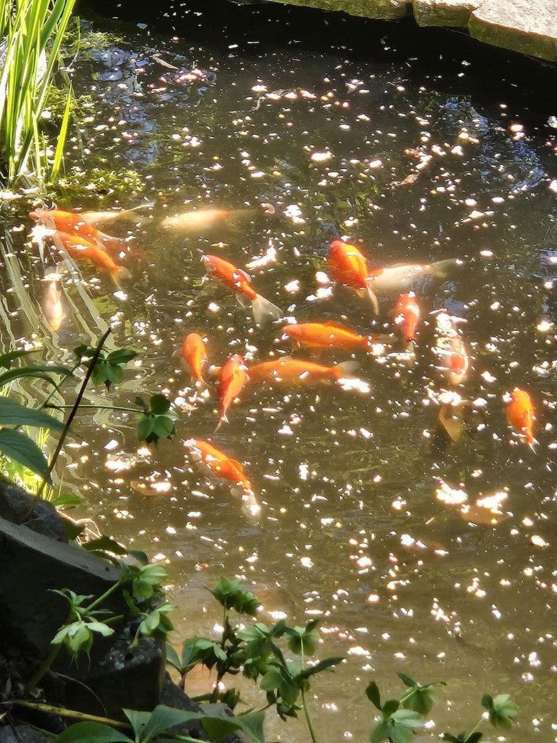 Prodej domu 206 m², pozemek 1.227 m², Westerburg, Porýní-Falc Prodej domu 206 m², pozemek 1.227 m², Westerburg, Porýní-Falc