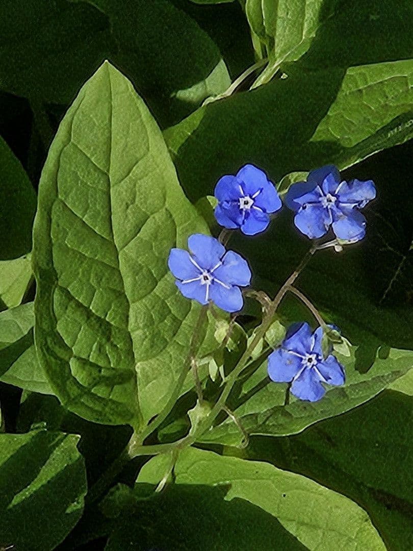 Prodej domu 206 m², pozemek 1.227 m², Westerburg, Porýní-Falc Prodej domu 206 m², pozemek 1.227 m², Westerburg, Porýní-Falc