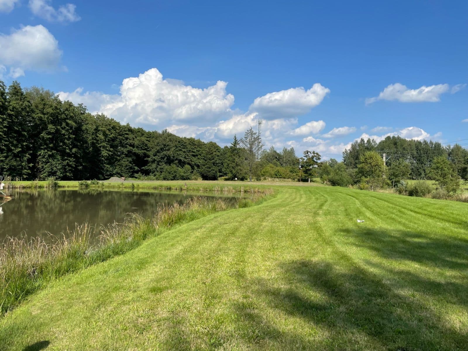 Prodej pozemku 9.437 m², Hory, Karlovarský kraj Prodej pozemku 9.437 m², Hory, Karlovarský kraj