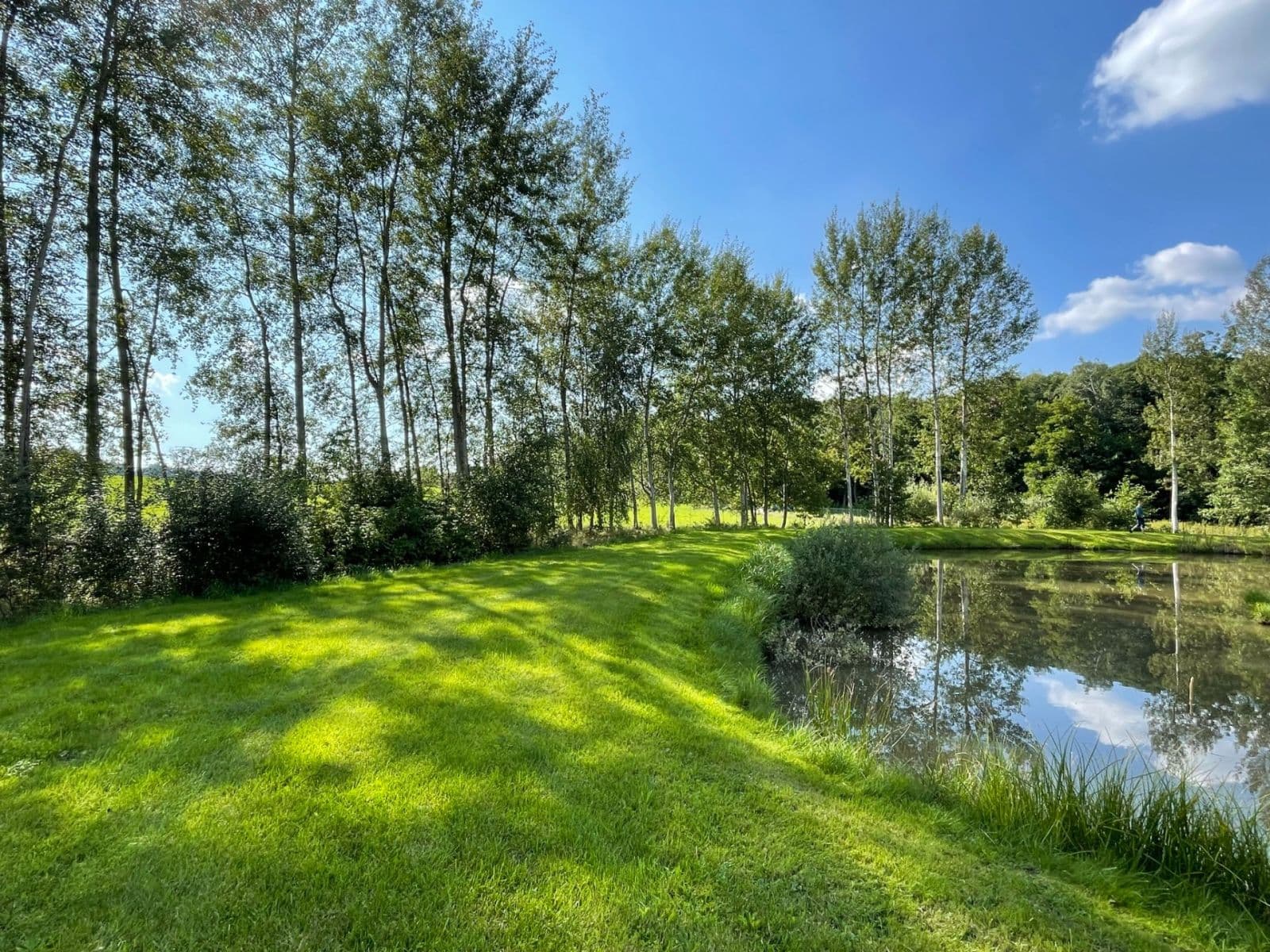 Prodej pozemku 9.437 m², Hory, Karlovarský kraj Prodej pozemku 9.437 m², Hory, Karlovarský kraj