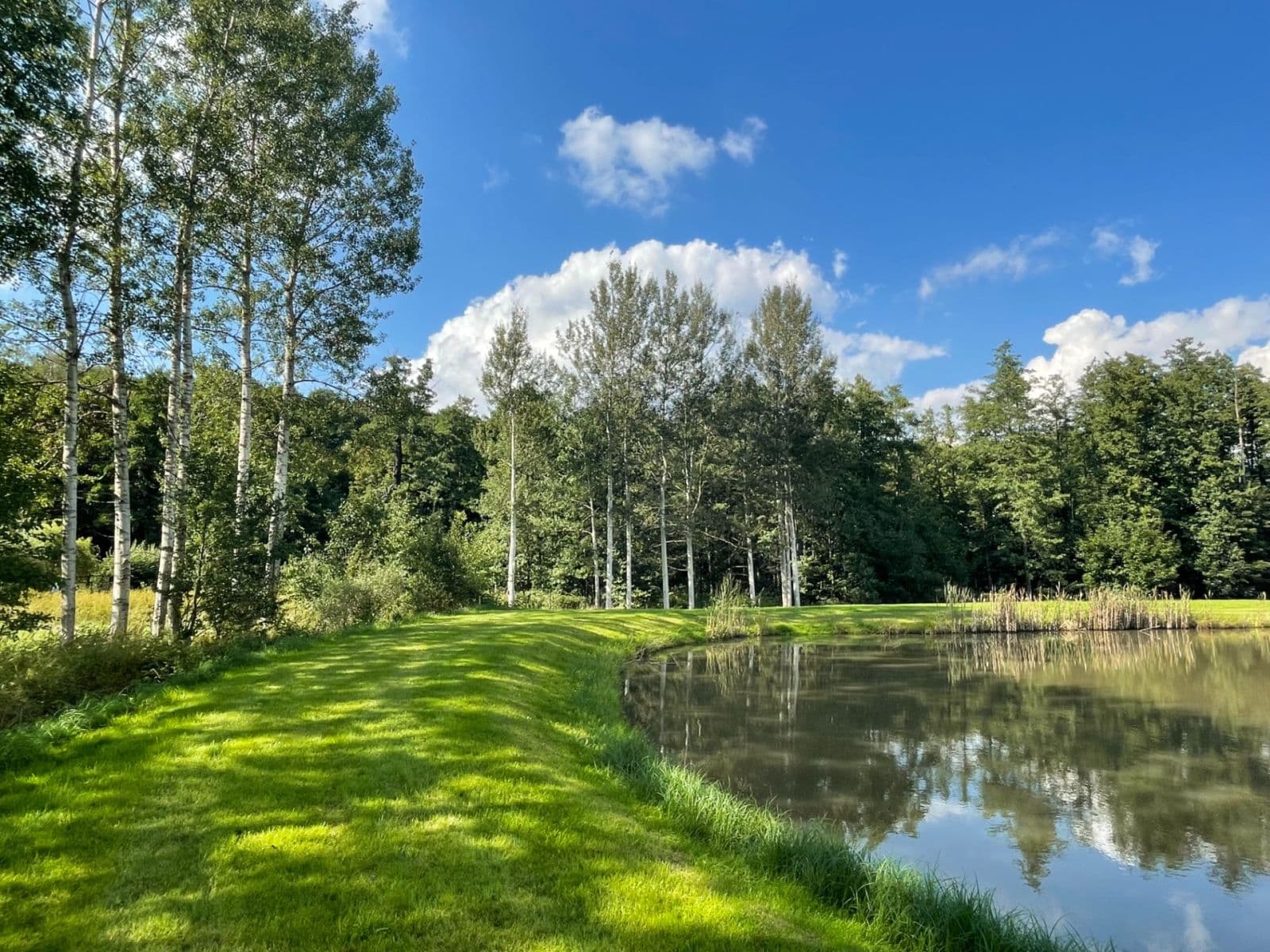 Prodej pozemku 9.437 m², Hory, Karlovarský kraj Prodej pozemku 9.437 m², Hory, Karlovarský kraj