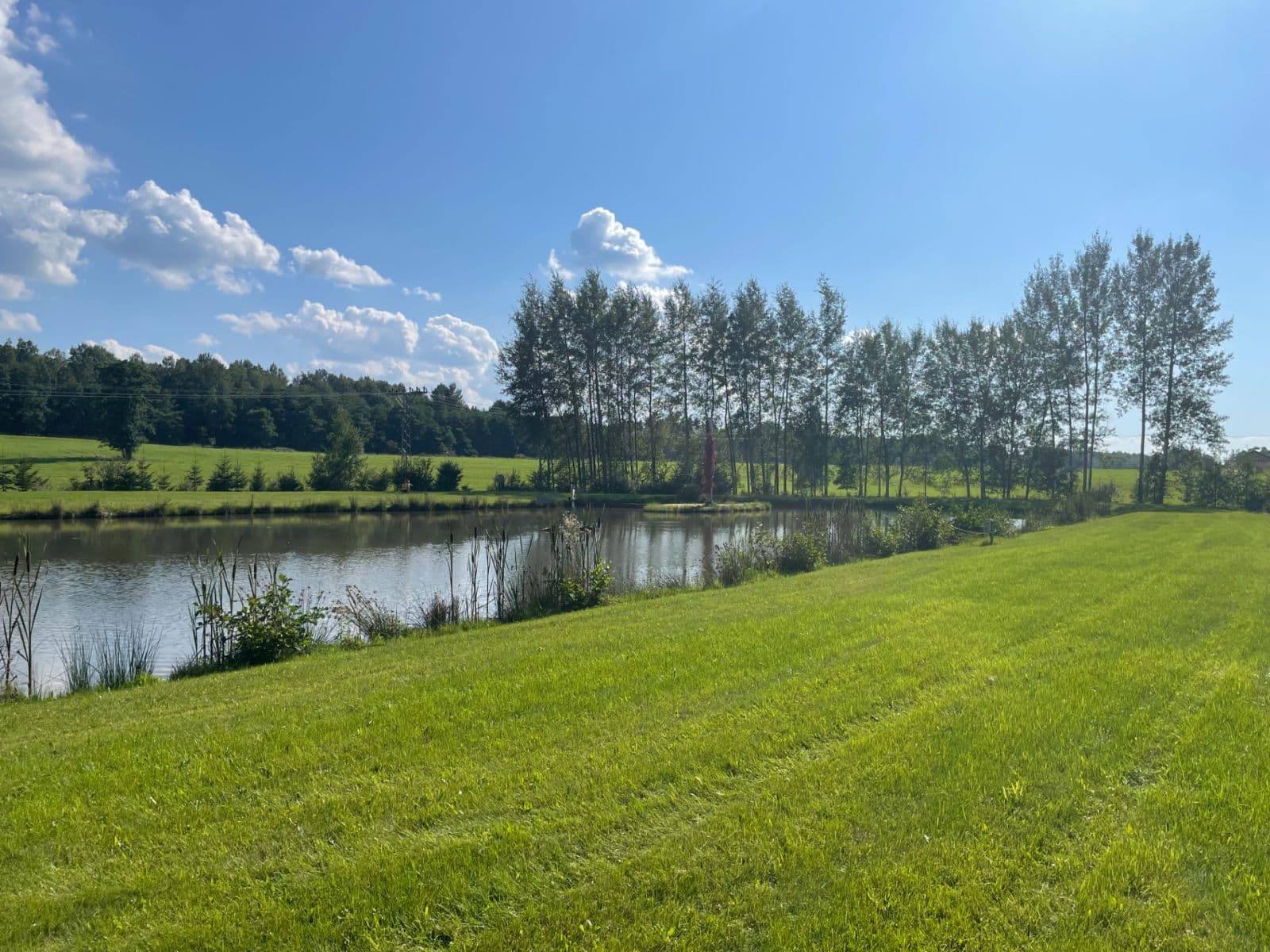 Prodej pozemku 9.437 m², Hory, Karlovarský kraj Prodej pozemku 9.437 m², Hory, Karlovarský kraj
