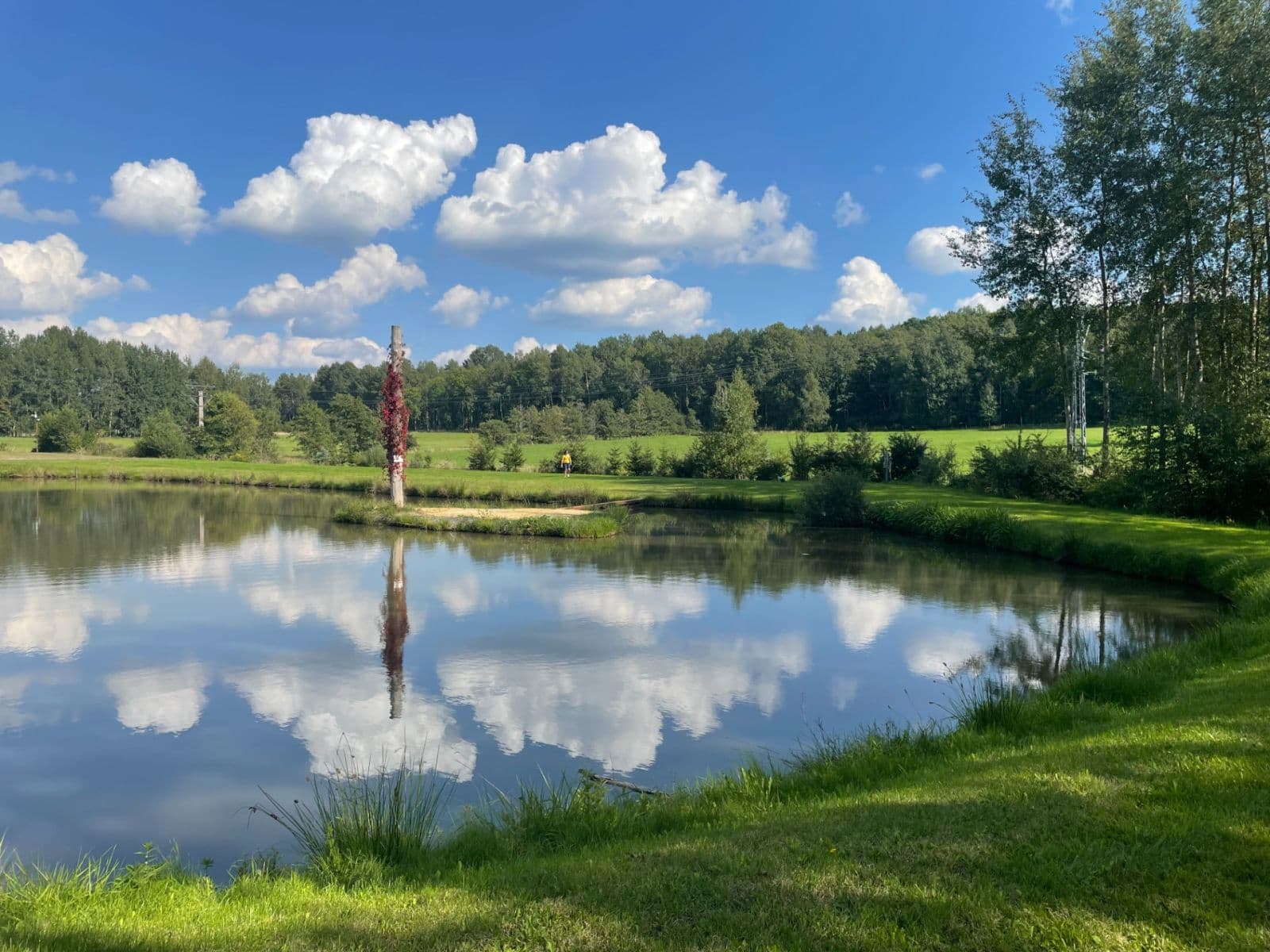 Prodej pozemku 9.437 m², Hory, Karlovarský kraj Prodej pozemku 9.437 m², Hory, Karlovarský kraj