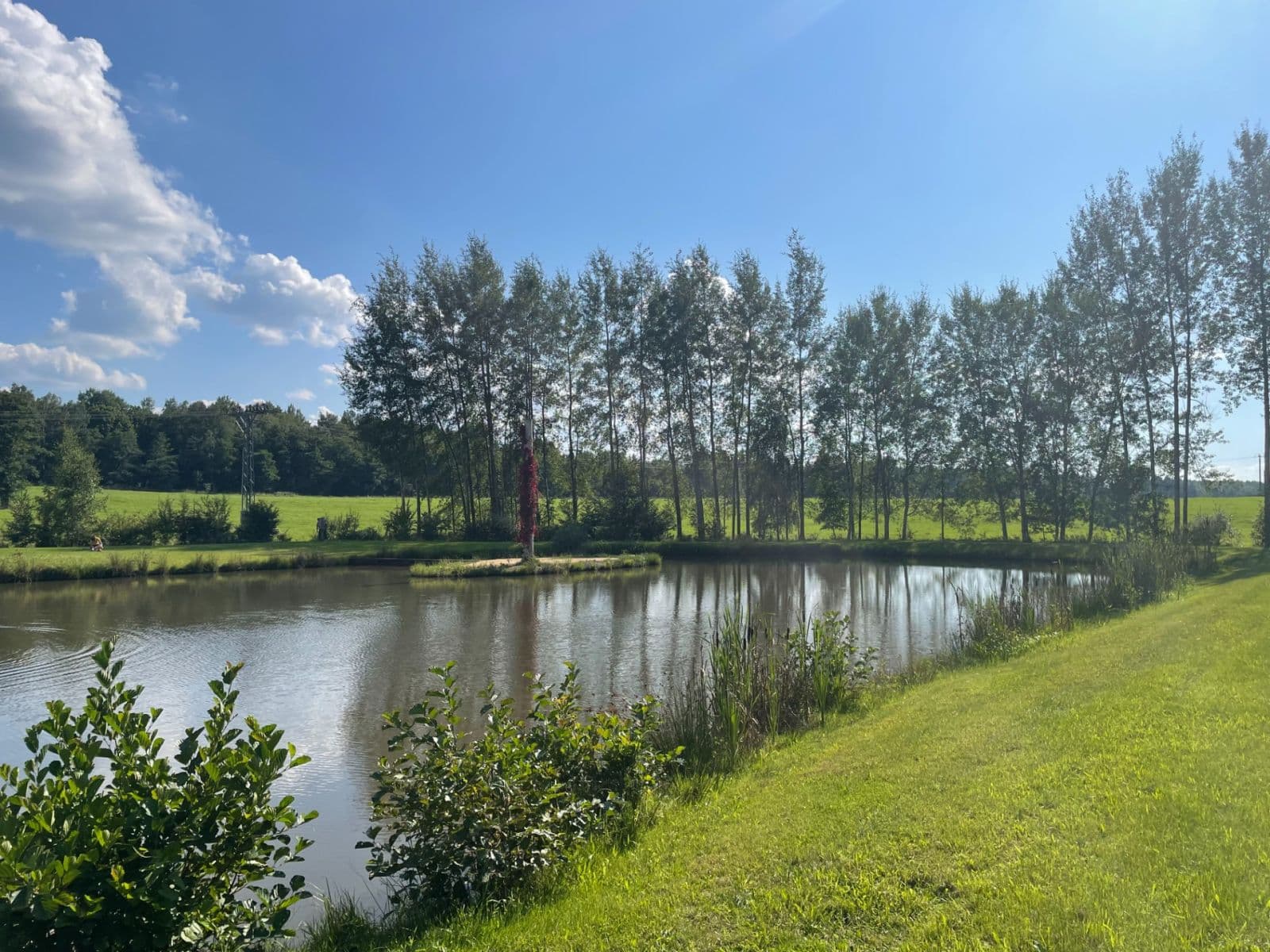 Prodej pozemku 9.437 m², Hory, Karlovarský kraj Prodej pozemku 9.437 m², Hory, Karlovarský kraj