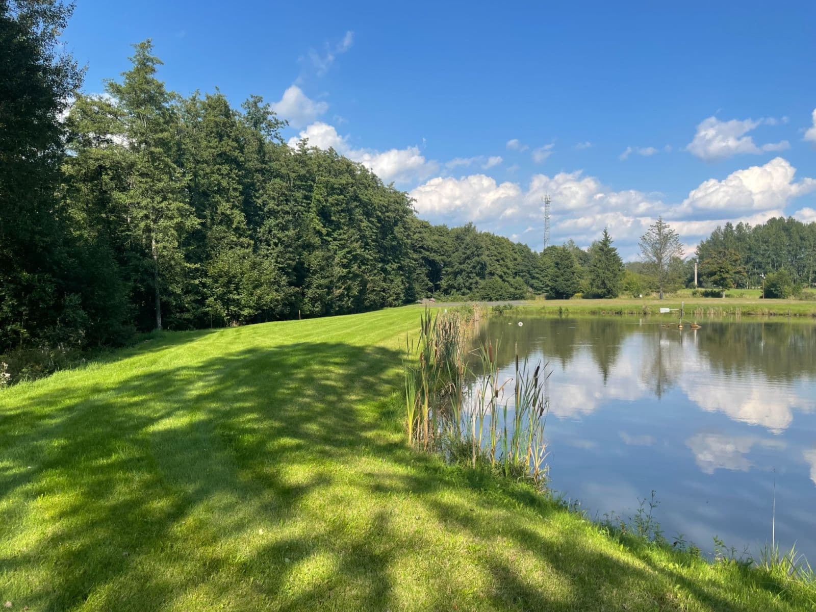 Prodej pozemku 9.437 m², Hory, Karlovarský kraj Prodej pozemku 9.437 m², Hory, Karlovarský kraj