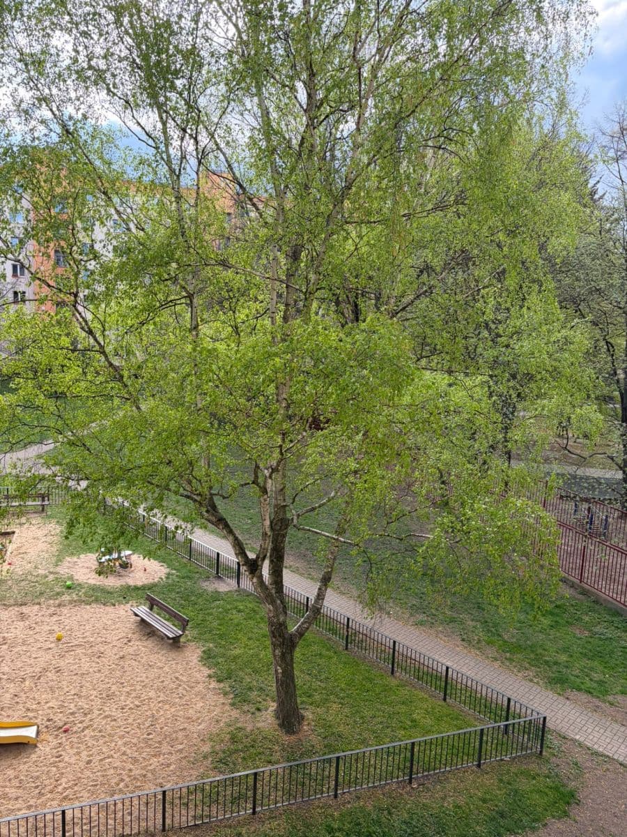 Pronájem bytu 2+1 52 m², Maříkova, Praha, Praha Pronájem bytu 2+1 52 m², Maříkova, Praha, Praha