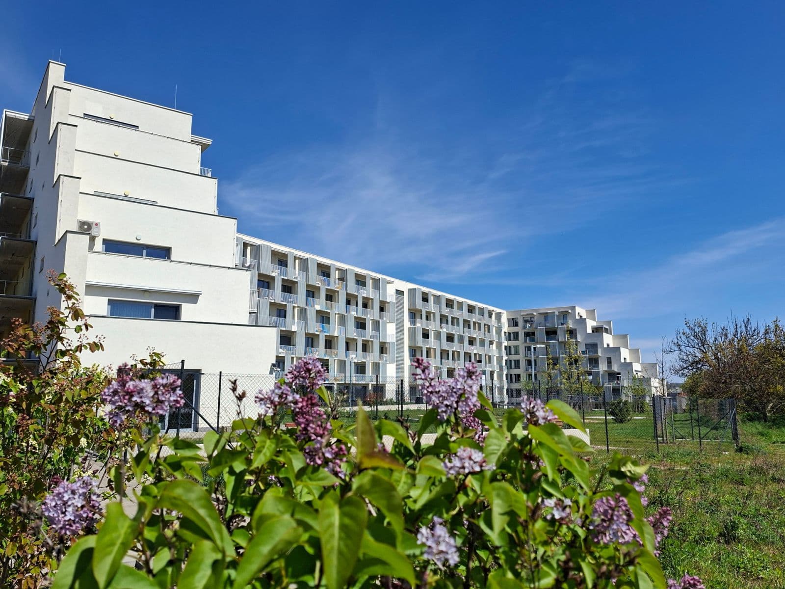 Pronájem bytu 1+kk 42 m², Řepova, Brno, Jihomoravský kraj Pronájem bytu 1+kk 42 m², Řepova, Brno, Jihomoravský kraj