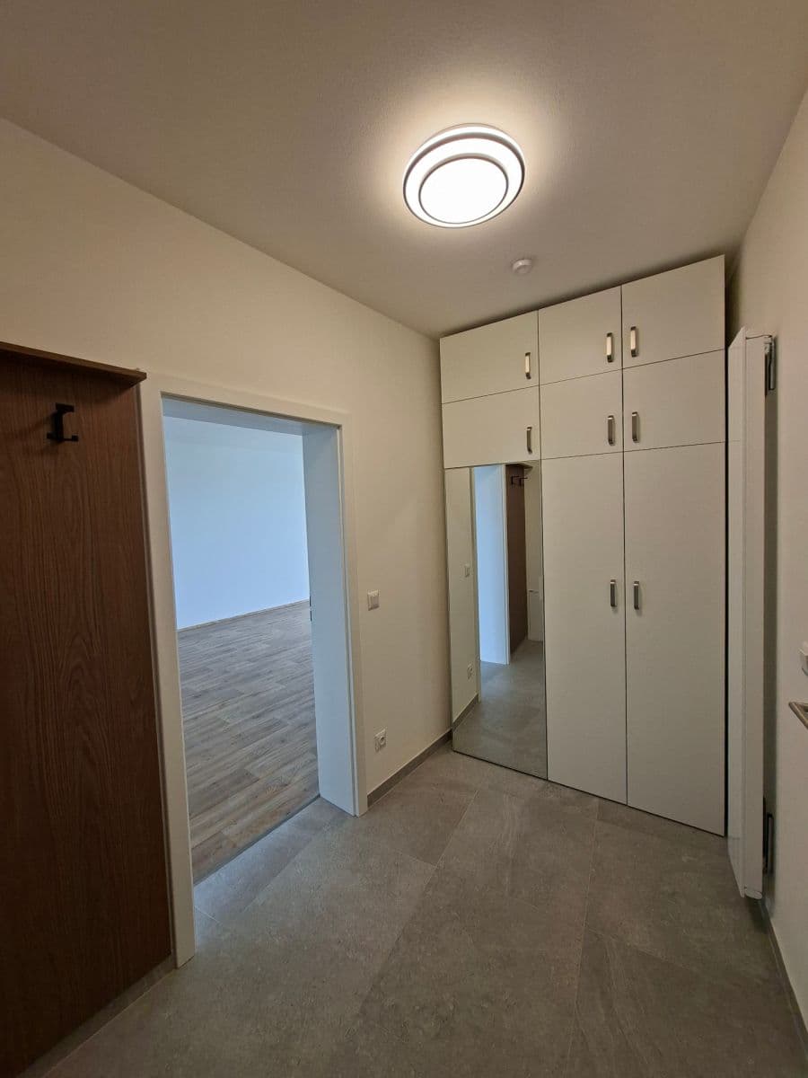 Pronájem bytu 1+kk 42 m², Řepova, Brno, Jihomoravský kraj Pronájem bytu 1+kk 42 m², Řepova, Brno, Jihomoravský kraj