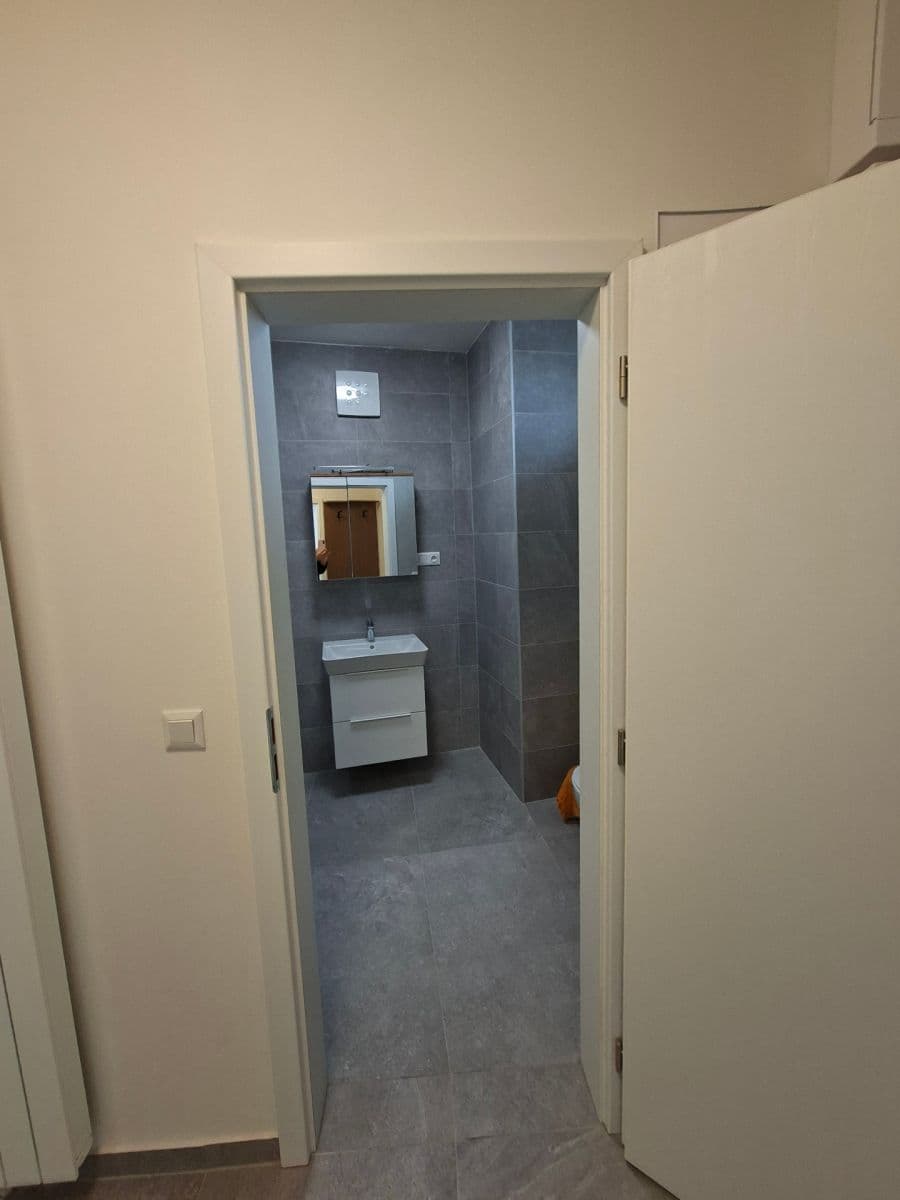 Pronájem bytu 1+kk 42 m², Řepova, Brno, Jihomoravský kraj Pronájem bytu 1+kk 42 m², Řepova, Brno, Jihomoravský kraj