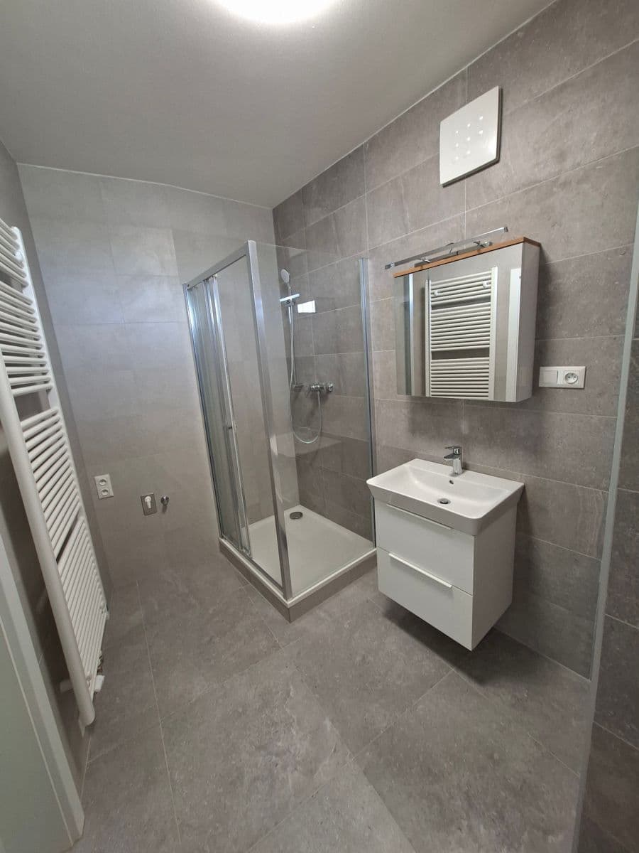 Pronájem bytu 1+kk 42 m², Řepova, Brno, Jihomoravský kraj Pronájem bytu 1+kk 42 m², Řepova, Brno, Jihomoravský kraj