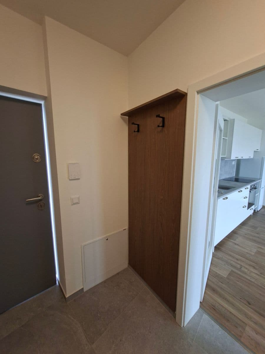 Pronájem bytu 1+kk 42 m², Řepova, Brno, Jihomoravský kraj Pronájem bytu 1+kk 42 m², Řepova, Brno, Jihomoravský kraj