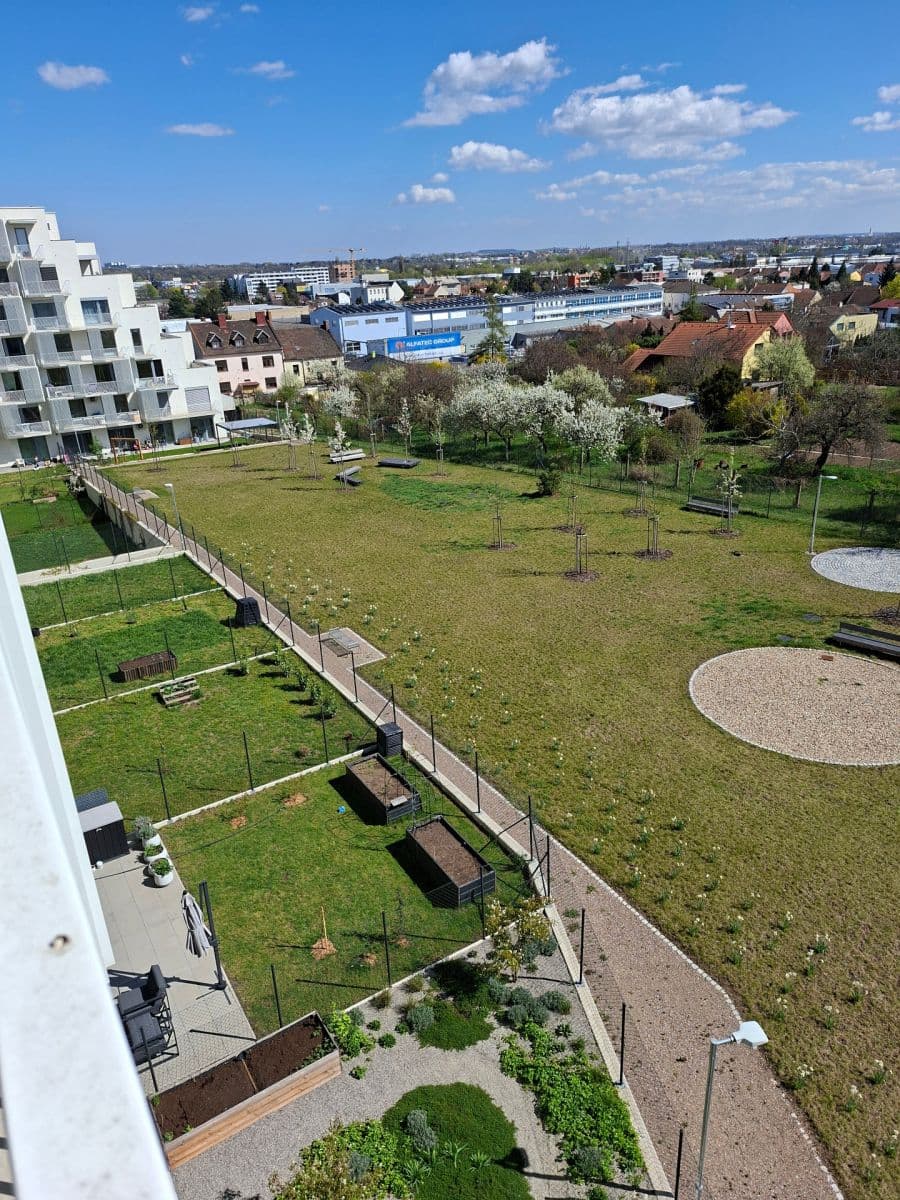 Pronájem bytu 1+kk 42 m², Řepova, Brno, Jihomoravský kraj Pronájem bytu 1+kk 42 m², Řepova, Brno, Jihomoravský kraj