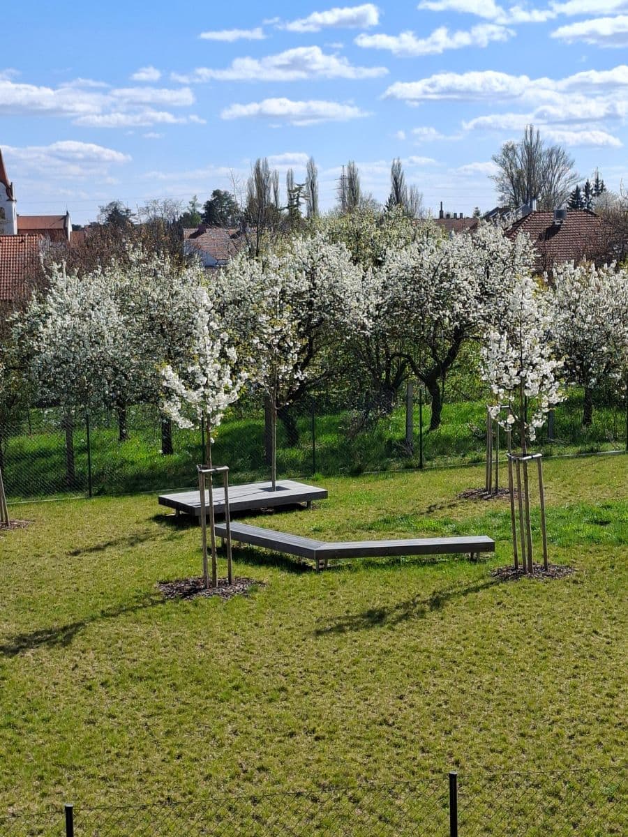 Pronájem bytu 1+kk 42 m², Řepova, Brno, Jihomoravský kraj Pronájem bytu 1+kk 42 m², Řepova, Brno, Jihomoravský kraj