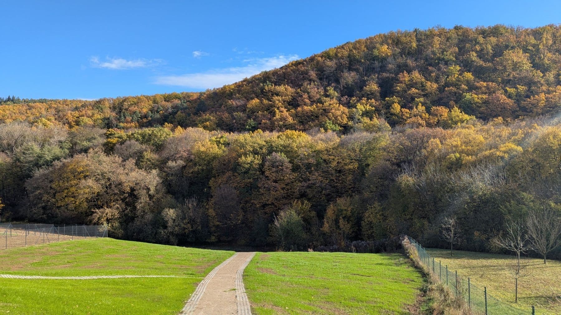 Pronájem bytu 1+kk 23 m², 3846, Brno, Jihomoravský kraj Pronájem bytu 1+kk 23 m², 3846, Brno, Jihomoravský kraj