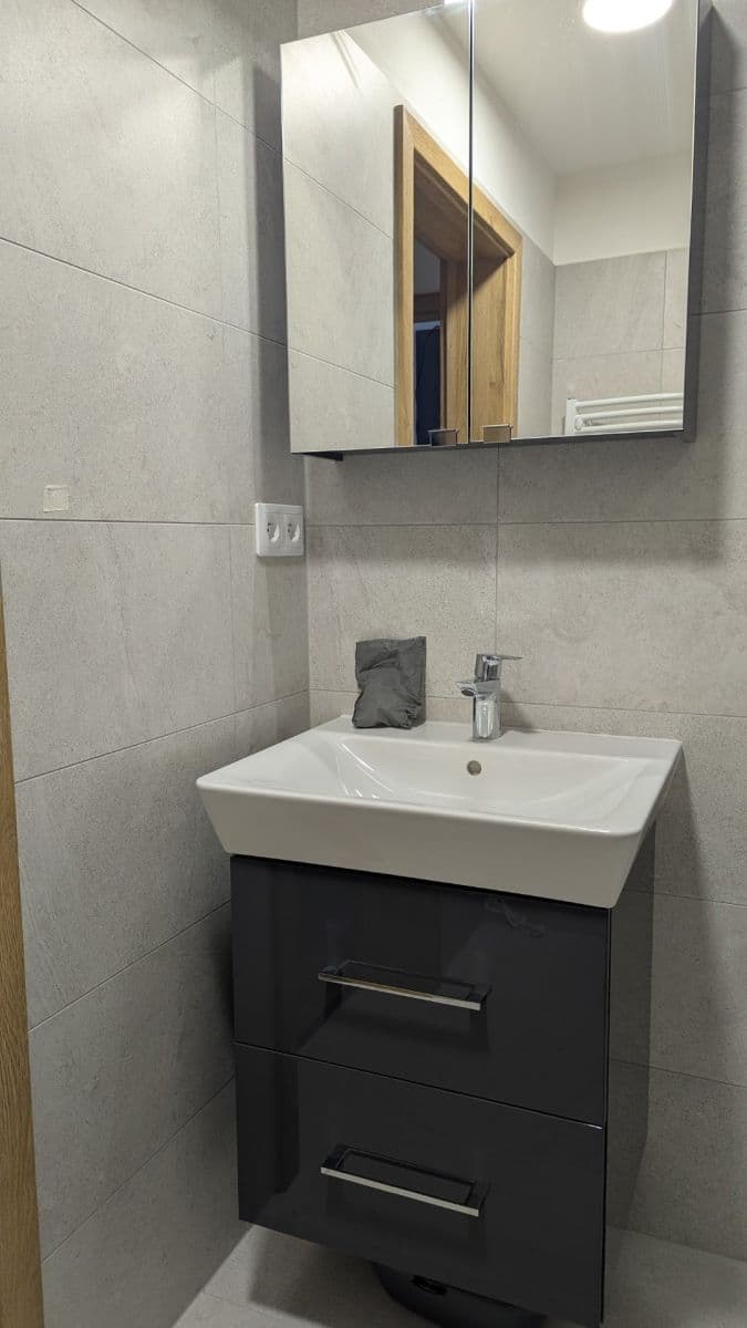 Pronájem bytu 1+kk 23 m², 3846, Brno, Jihomoravský kraj Pronájem bytu 1+kk 23 m², 3846, Brno, Jihomoravský kraj