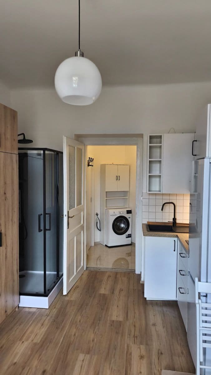 Pronájem bytu 1+kk 18 m², Závěrka, Praha, Praha Pronájem bytu 1+kk 18 m², Závěrka, Praha, Praha