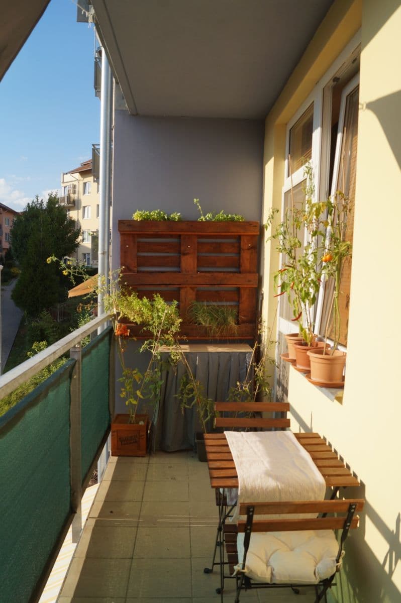 Prodej bytu 2+kk 49 m², Hrázka, Brno, Jihomoravský kraj Prodej bytu 2+kk 49 m², Hrázka, Brno, Jihomoravský kraj
