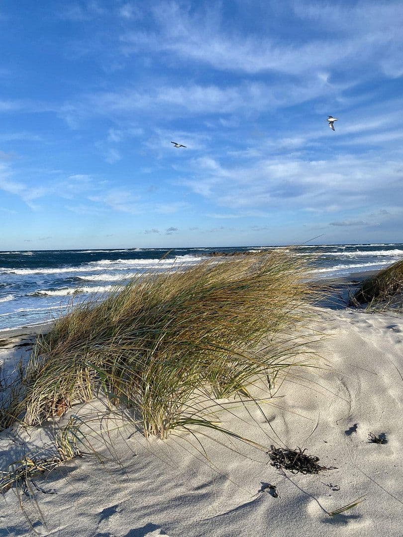 Prodej bytu 1+1 28 m², Palstek 2, Wendtorf, Šlesvicko-Holštýnsko Prodej bytu 1+1 28 m², Palstek 2, Wendtorf, Šlesvicko-Holštýnsko