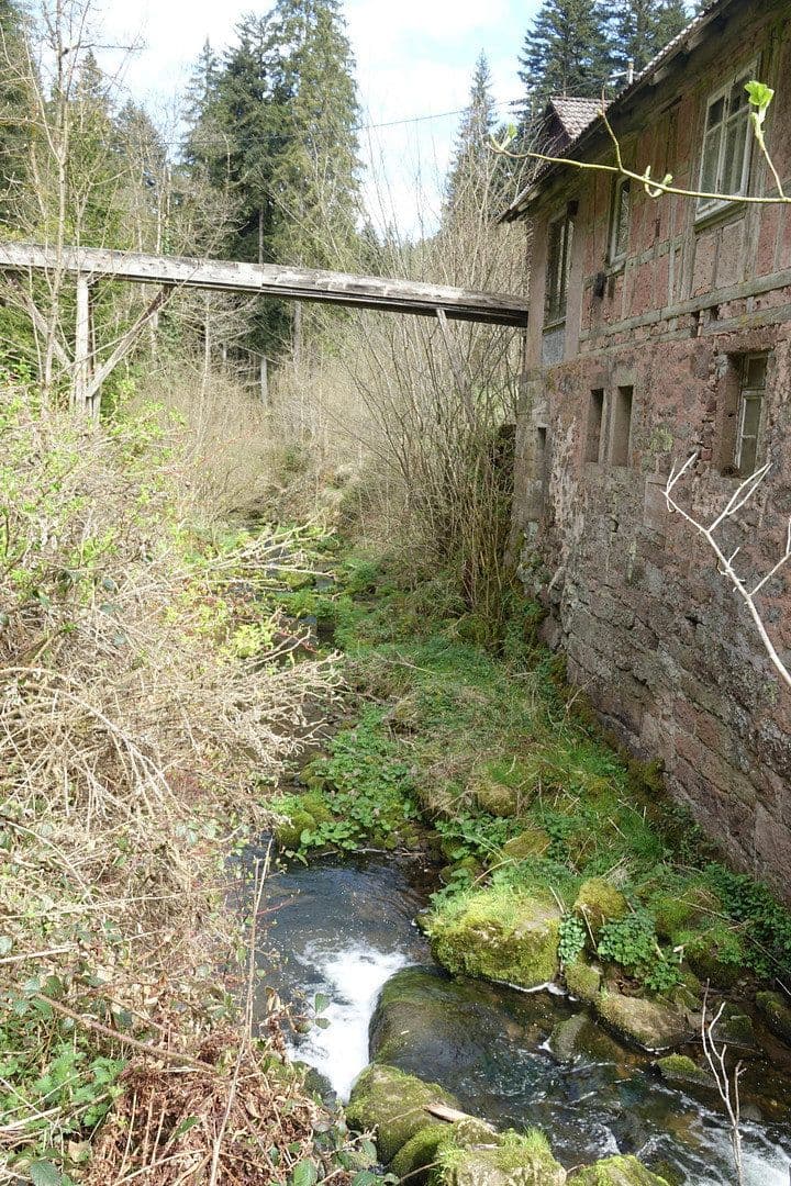 Prodej domu 200 m², pozemek 20.000 m², Alpirsbach, Bádensko-Württembersko Prodej domu 200 m², pozemek 20.000 m², Alpirsbach, Bádensko-Württembersko